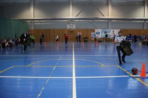 Семейные соревнования «Папа, мама, я – спортивная семья» прошли в Великих Луках (ФОТО)