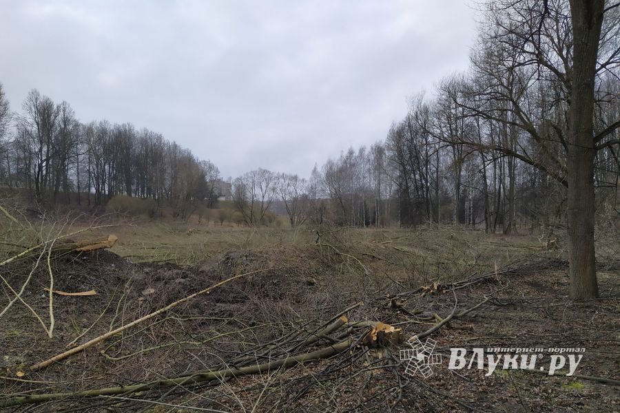 В Великих Луках приступили к строительству парка «Петровский» (ФОТО)
