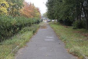 Октябрь: в Великих Луках продолжается покос (ФОТО)