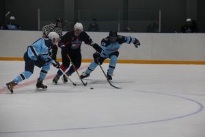 «Экспресс» обыграл псковскую «Сталь» (ФОТО)