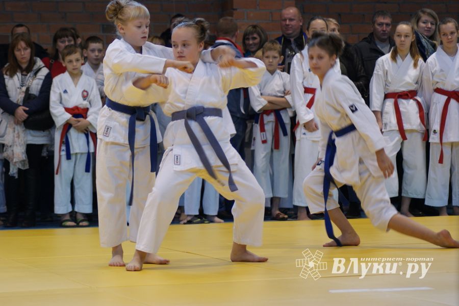 В Великих Луках прошли соревнования по каратэ (ФОТО)