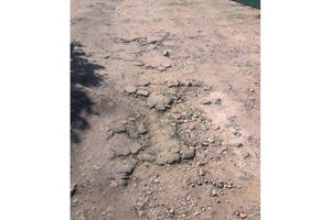 фото с http://turchak.ru/