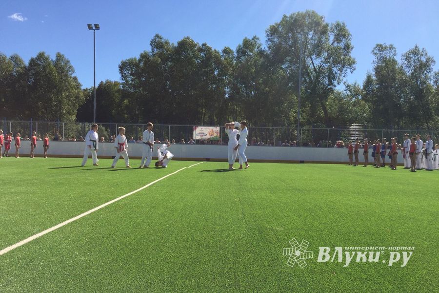 Спортивно-массовые мероприятия в честь Дня города (ФОТО)