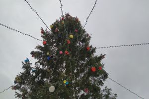 Главную новогоднюю ёлку в Великих Луках нарядили к праздникам (ФОТО)