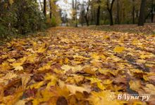 На Северо-Западе погодой будет управлять антициклон