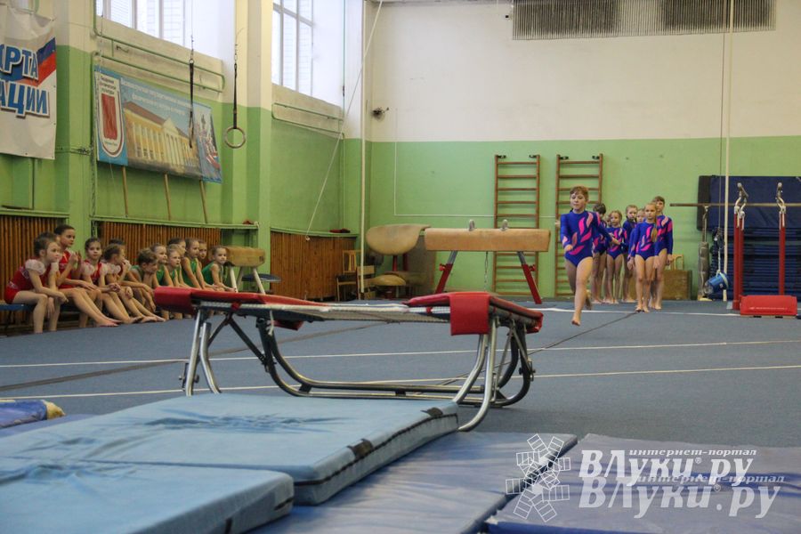 В Великих Луках состоялось Первенство по командной гимнастике (фото)