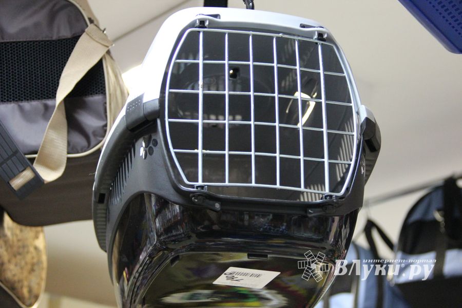 «Zooбастики»: подарите праздник своим любимцам! (ФОТО+ВИДЕО)