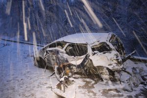 Фото: УМВД России по Псковской области