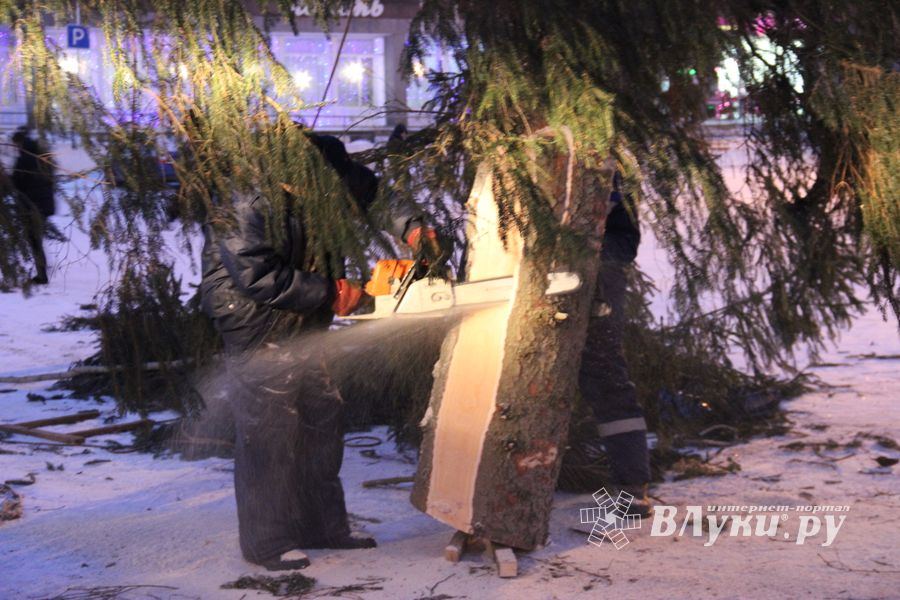 Новогодняя ёлочка приехала наконец в Великие Луки (ФОТО)