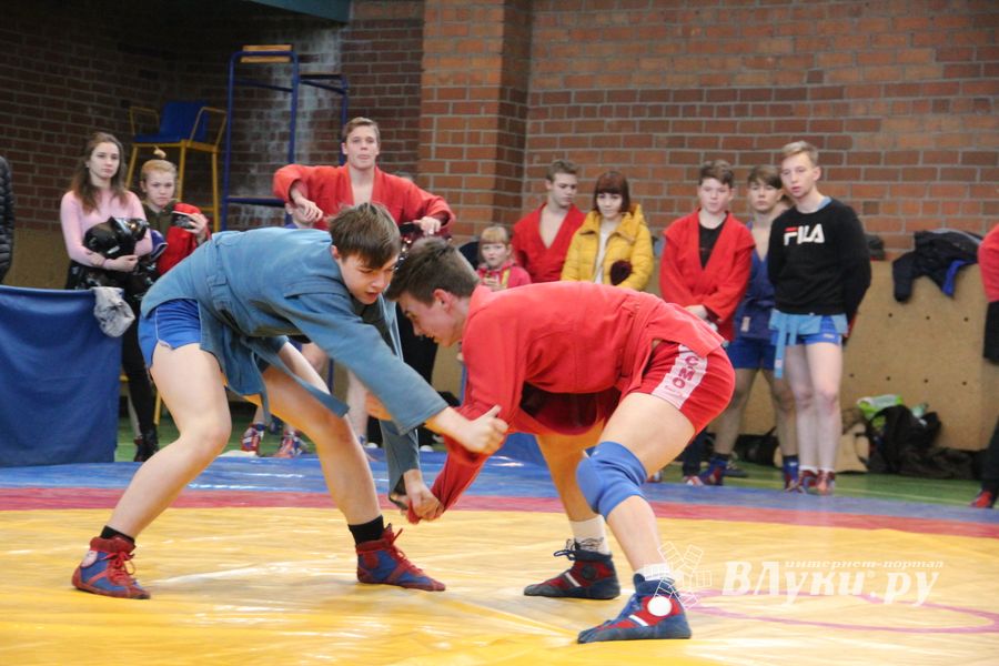 Великолукские самбисты завоевали 54 награды на Первенстве города (ФОТО)