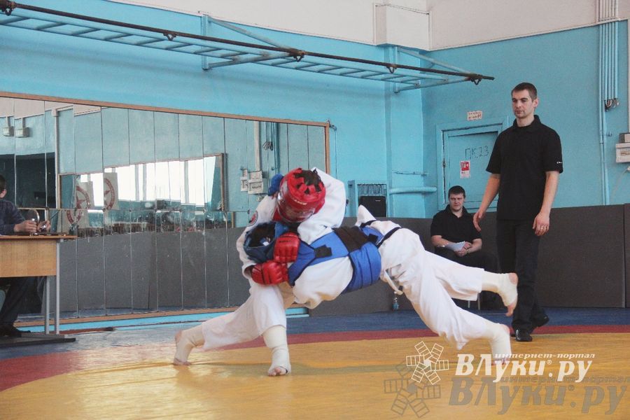 Первый чемпионат и первенство Псковской области по смешанным боевым искусствам «ММА»