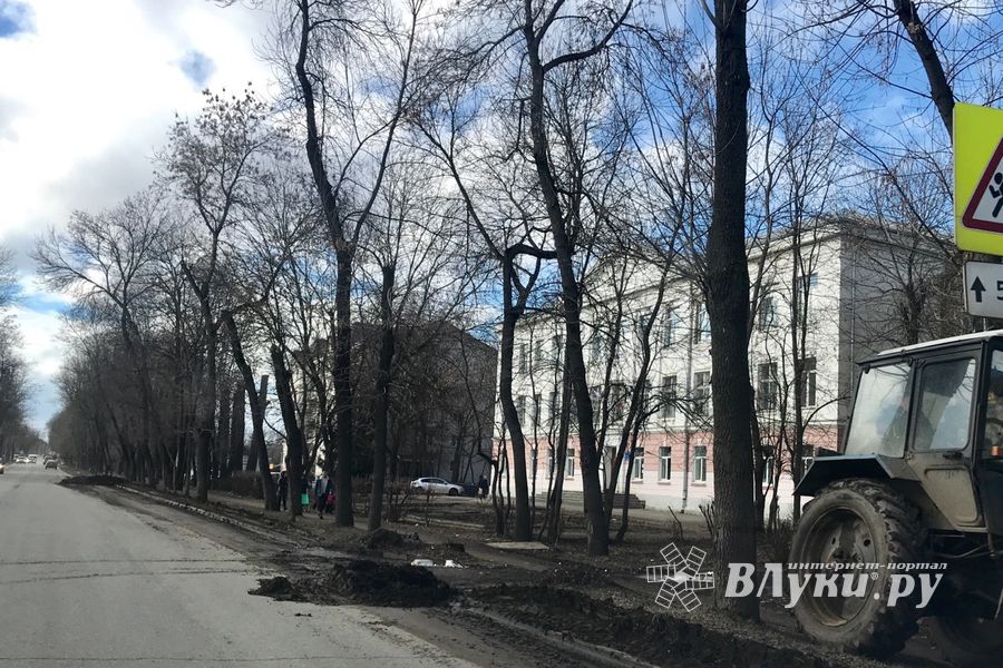 В Великих Луках очищают обочины улиц от снега и грязи (ФОТО)