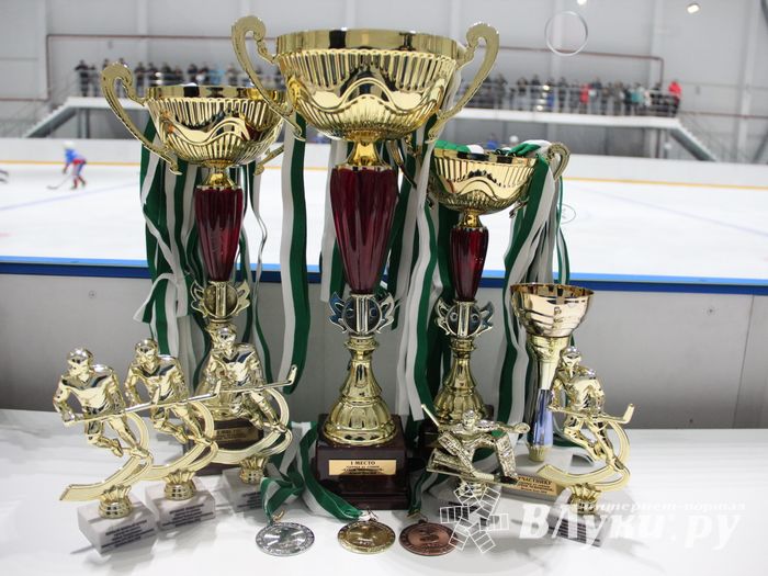 Детский турнир по хоккею прошел в Великих Луках (ФОТО)