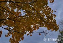 Северо-Запад встречает неделю теплом, но дожди вскоре охладят регион