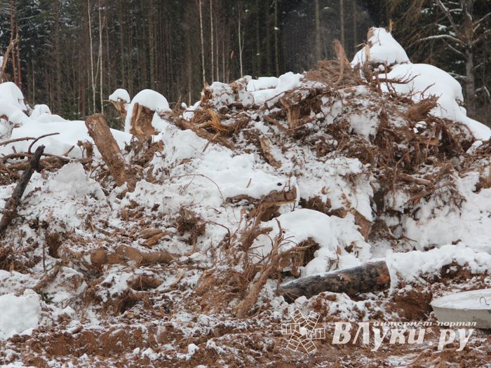В Великих Луках ведется строительство центра по подготовке велосипедистов (ФОТО)