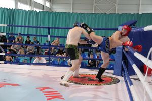 В Великих Луках прошел Кубок области по кикбоксингу (ФОТО)