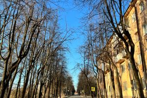 ВЛуки.ру
