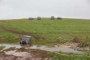 Кураж (ФОТО)