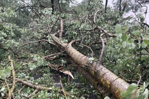 Весь ужас вчерашнего урагана в Великих Луках и районе (ФОТО, ВИДЕО)