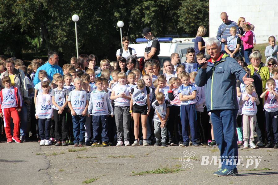 В Великих Луках прошёл «Кросс Нации-2018» (ФОТО)