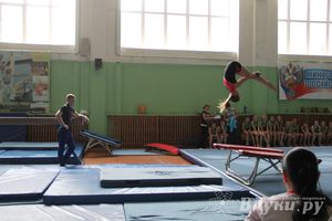 В Великих Луках состоялось Первенство по командной гимнастике (фото)