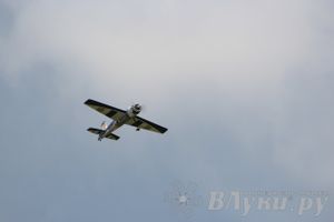 IV Фестиваль авиамодельного спорта России в классе радиоуправляемых моделей