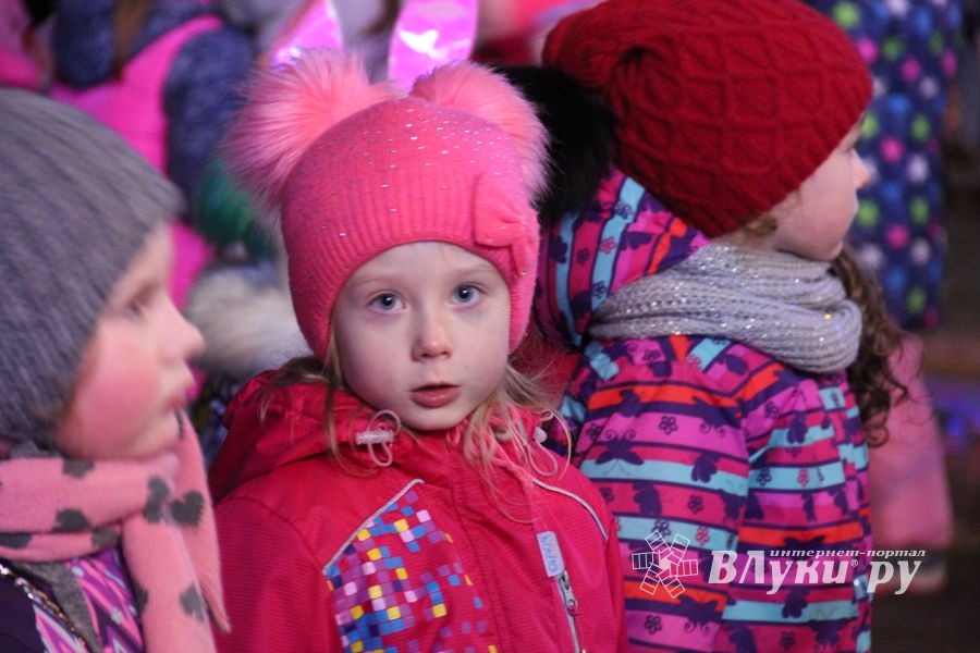 В Великих Луках зажгли Ёлку (ФОТО)