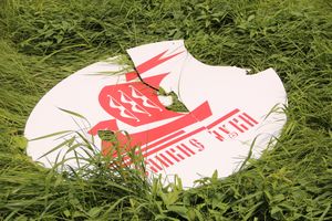 Фотофакт: в Великих Луках разломали ладью