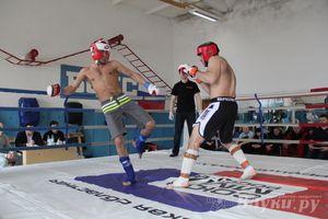 В Великих Луках прошел Чемпионат области по смешанному боевому единоборству (фото)