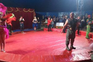 Великолучанка пожаловалась на цирк (ФОТО)