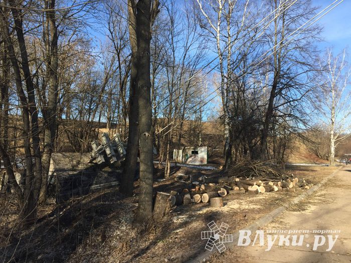 В УЖКХ Великих Лук объяснили спил деревьев возле пешеходного моста (ФОТО)