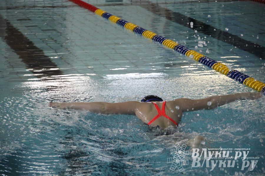 В Великих Луках прошло Первенство по плаванию (фото)