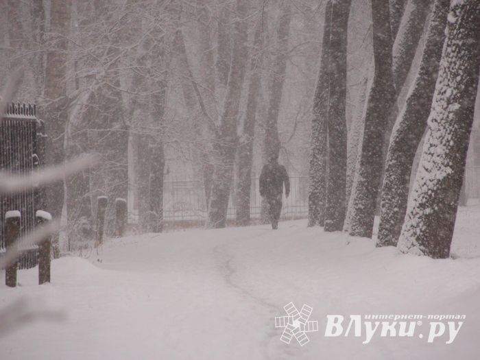 В Великих Луках снегопад и «день жестянщика» (фото)