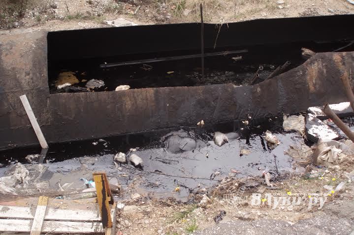 В Псковской области устанавливаются обстоятельства гибели женщины, обнаруженной в канаве с мазутом (фото)