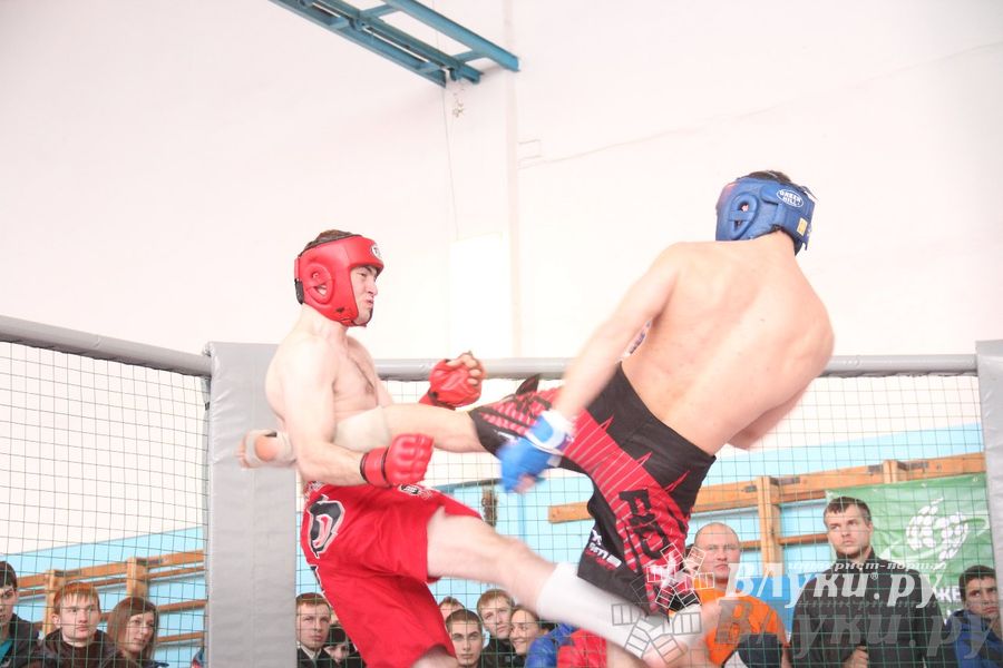 Первый чемпионат и первенство Псковской области по смешанным боевым искусствам «ММА»