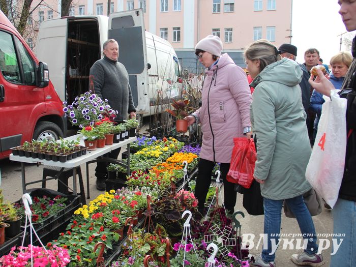 В Великих Луках прошла ярмарка «Весна \u002D 2022» (ФОТО)