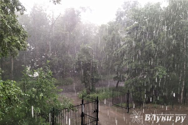 Период дождей и гроз наступает в Псковской области