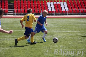 «Локобол-2013» в Великих Луках