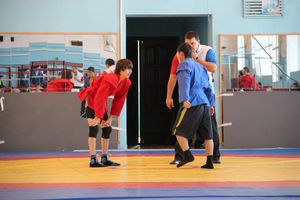 Лично-командное Первенство Псковской области по самбо