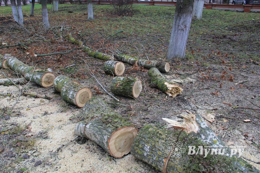 Возле железнодорожной больницы облагораживают сквер (ФОТО)