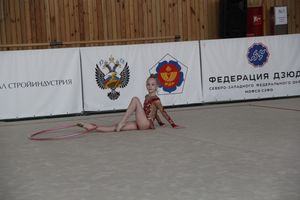 Гимнастика