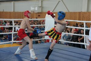 1-й Фестиваль боевых искусств состоялся в Великих Луках  (ФОТО)