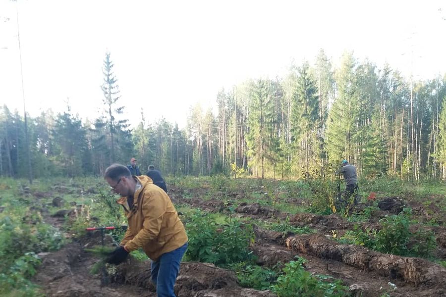 Акция «Сохраним лес» прошла в Печорском районе (ФОТО)