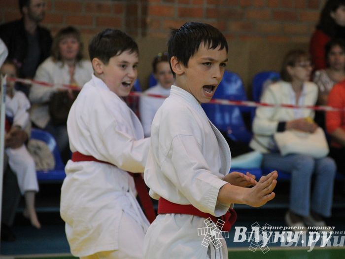 Великолучане стали победителями турнира по каратэ «Неприкосновенный запас, дети — Отчизны 2015» (фото)