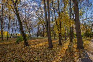 ©ВЛуки.ру