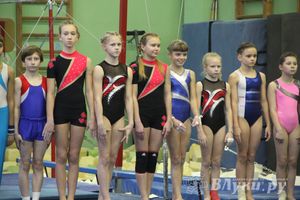 В Великих Луках состоялось  Первенство города по спортивной гимнастике (фото)