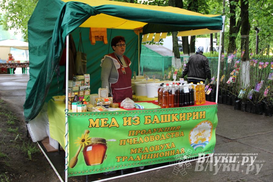 В Пскове проходит 22-ая универсальная выставка (фото)