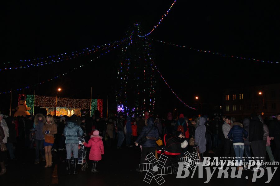 Праздник городской новогодней елки