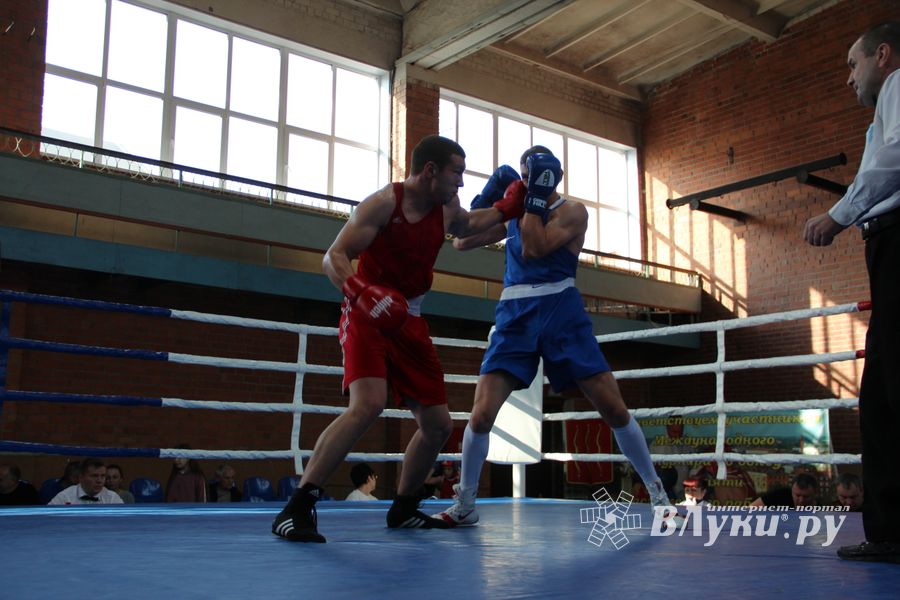 В Великих Луках прошел турнир по боксу памяти Е. Клевцова (ФОТО)