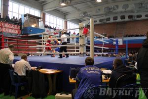16-й Международный турнир по боксу (фото)